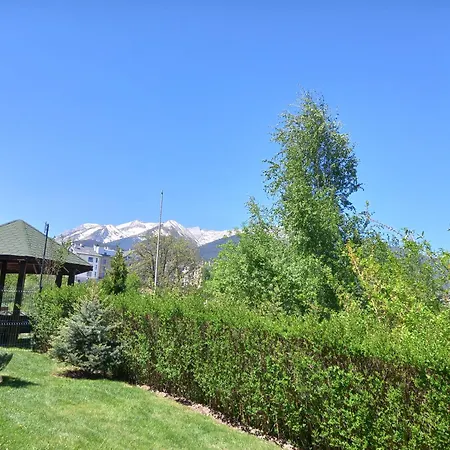 студио Snow Day в Life в