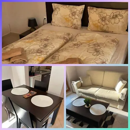 студио Snow Day в Life в 班斯科