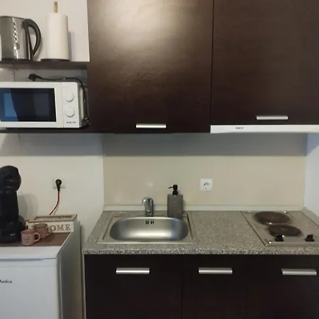 студио Snow Day в Life в 公寓 班斯科