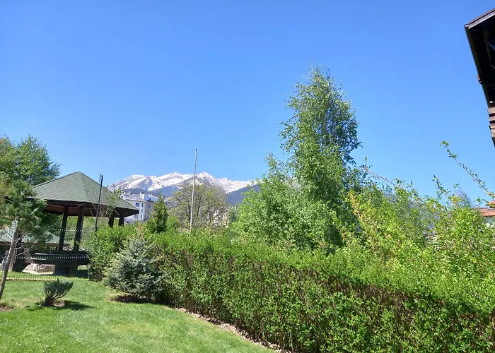 студио Snow Day в Life в