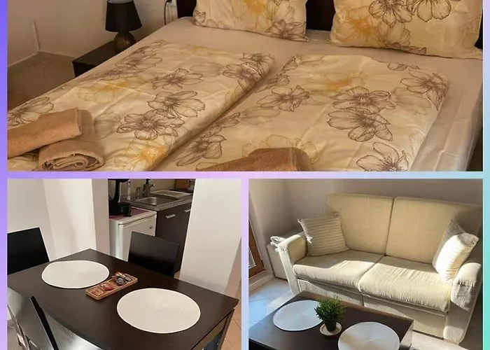 студио Snow Day в Life в 班斯科